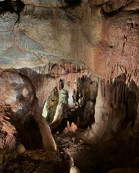 AD 🇬🇷 I’m just a girl that loves stalactites and stalagmites! Loved our visit to Petralona Cave, which is one of Europe’s most important caves thanks to its wealth of fossils and the discovery of a human scull that dates back approximately 700.000 years. Apparently they even found evidence an elephant had once been in the cave! 😱 The locals call it “the red-rock cave” due to the colour that the bauxite deposits give to the stone. Save as a reminder to visit when you plan your trip to Ha... Cave Creatures, Volcanic Cave, Skull Cave, Stalactites And Stalagmites, Cave With Stalactites, European Cave Paintings, Cave Photos, The Cave, Story Board