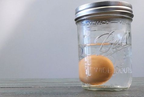 Here's an easy way to peel hard-boiled eggs in just a few seconds Mason Jar Eggs, Peeling Boiled Eggs, Hard Boiled Eggs Easy Peel, Easy Hard Boiled Eggs, Cooktop Cove, Boiling Eggs, Devil Eggs, Kitchen Knowledge, Egg Hacks