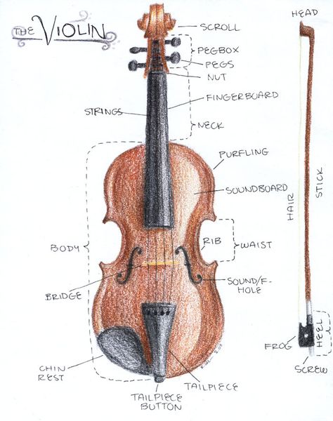 Learning Violin, Violin Teaching, Music Drawing, Violin Practice, Violin Art, Homeschool Music, Not Musik, Learn Violin, Violin Lessons