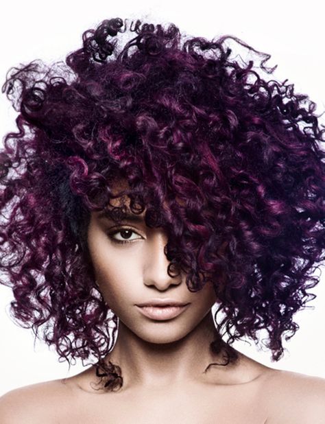 Curly Hair Color Ideas Purple, Hair Color Ideas Purple, Curly Purple Hair, Purple Curls, Blackberry Hair, Curly Hair Latina, Blackberry Hair Colour, Naturally Curly Hair Updo, Curly Hair Color Ideas