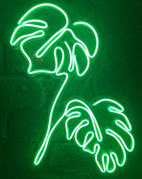 Evergreen Content, Neon Wall Art, Iphone11 Pro, Neon Decor, Leaf Images, Rope Lights, Neon Design, Monstera Plant, Screen Saver