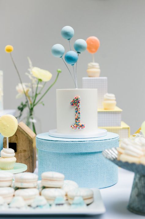 Simple Baby Birthday, Simple First Birthday, 1st Bday Cake, Boys First Birthday Cake, First Birthday Balloons, Baby First Birthday Cake, Simple Birthday Party, Photography Cake, Boys 1st Birthday Party Ideas