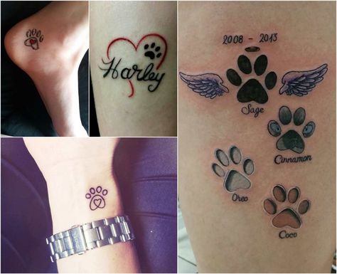 Katzen Tattoo: Bedeutung der Katzentattoos, Katzenpfote + 39 Bilder Disney Tattoos, Mini Tattoos, Print Tattoos, Paw Print Tattoo, Paw Print, Tattoos, Pins