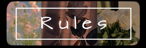 Rules Aesthetic Banner, Discord Server Rules Banner, Discord Rules Ideas, Discord Rules Banner, Server Name Ideas Discord, Rules Discord, Rules Banner, Discord Dividers, Banner Discord