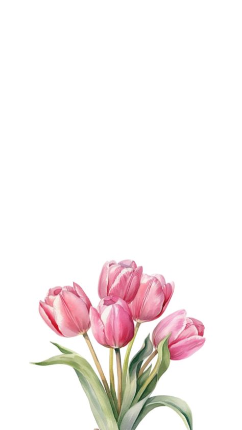 ⋆ ˚｡⋆୨♡୧⋆ ˚｡⋆ Image Girly, Tulip Painting, Tulips Art, Cute Summer Wallpapers, Illustration Blume, Simple Iphone Wallpaper, Cute Flower Wallpapers, Pretty Wallpaper Iphone, Simple Wallpapers