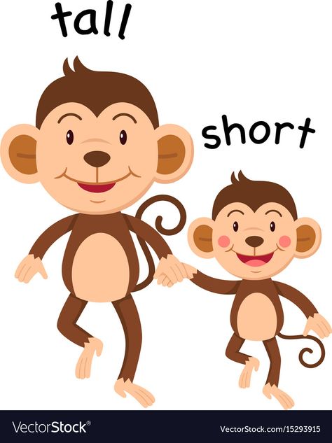 Comparing tall vs. short activities for young students to begin learning math skills! Cartoon Duos, Opposites For Kids, Opposites Preschool, Zoo Preschool, Kids Dental Health, English Opposite Words, Tall And Short, Opposite Words, Flashcards For Kids