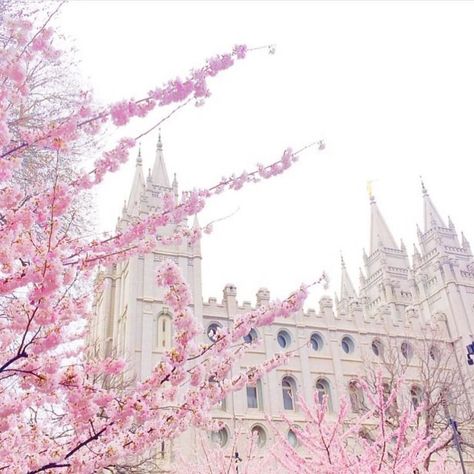 Salt Lake Utah PC: @rachparcell #ldstempleaday #mormon #ldstemple #lds #saltlaketemple Temple Square, Salt Lake Temple, Temple Pictures, High School Host Club, Ouran High School Host Club, Host Club, Lds Temples, Salt Lake City Utah, Pink Peonies