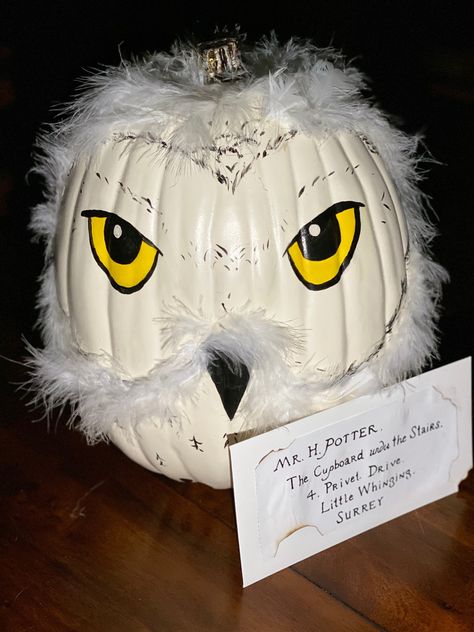 Harry Potter Themed Pumpkin Decorating, Book Character Pumpkins Harry Potter, Harry Potter No Carve Pumpkin, Harry Potter Owl Pumpkin, Harry Potter Theme Pumpkin, Pumpkin Decorating Harry Potter, Pumpkin Decorating Ideas Harry Potter, Harry Potter Decorated Pumpkin, Pumpkin Ideas Harry Potter