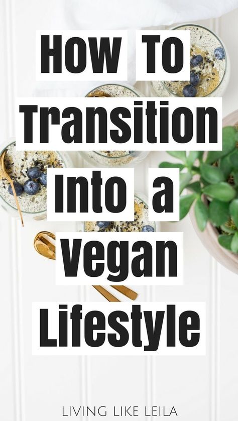 How to Transition into a Vegan Lifestyle - Living like Leila Benefits Of Vegetarian Diet, Vegan Coffee Creamer, Vegan Lifestyle Inspiration, Becoming Vegan, Oxalate Diet, Low Oxalate, Vegan Transition, How To Become Vegan, Vegan Tips