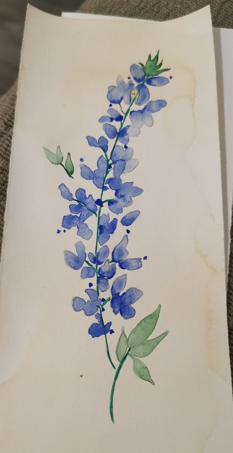 Watercolor painting of Texas Bluebonnet. Blue Bonnet Watercolor, Blue Bonnets Drawing, Blue Bonnets Painting, Bluebonnet Watercolor Painting, Bluebonnet Drawing Simple, Blue Bonnet Drawing, Painted Bluebonnets, Bluebonnet Drawing, Blue Bonnet Painting