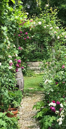 My Cottage Garden | Befor After Cottage Garden Stepping Stones, Flower Garden Plans, Trellis Fence, Arbors Trellis, Garden Tables, Forest Cottage, Shabby Chic Garden, Sloped Garden, Water Gardens