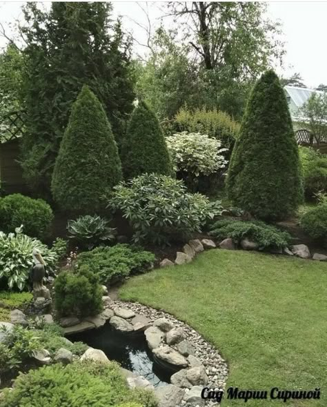 Evergreen Garden, Privacy Landscaping, Have Inspiration, Home Landscaping, Front Yard Garden, Front Yard Landscaping Design, Gardening Landscaping, Outdoor Landscaping, Garden Landscape