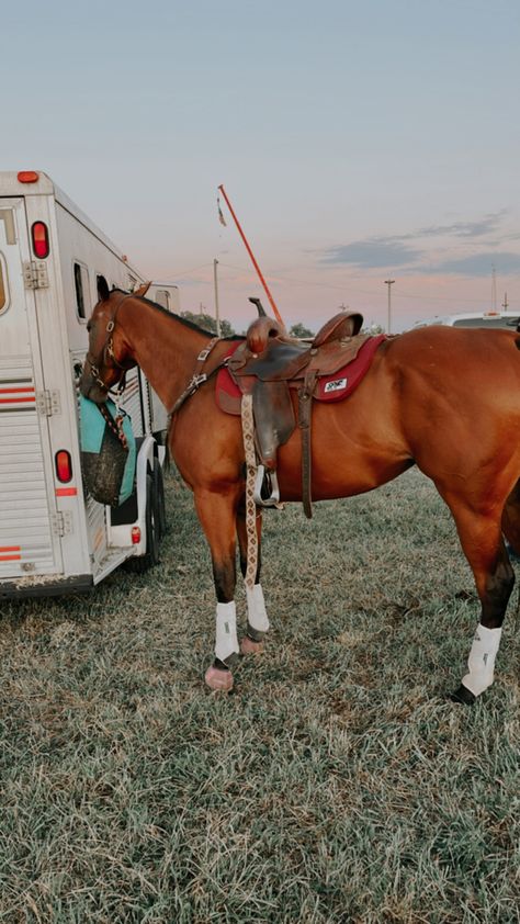 Barrel Racing Aesthetic, Horse Tack Western, Barrel Racing Tack Rodeo, Dream Horse Barns, Show Jumping Horses, Rodeo Cowboys, Barrel Racing Tack, Cute Horse Pictures, Barrel Racing Horses