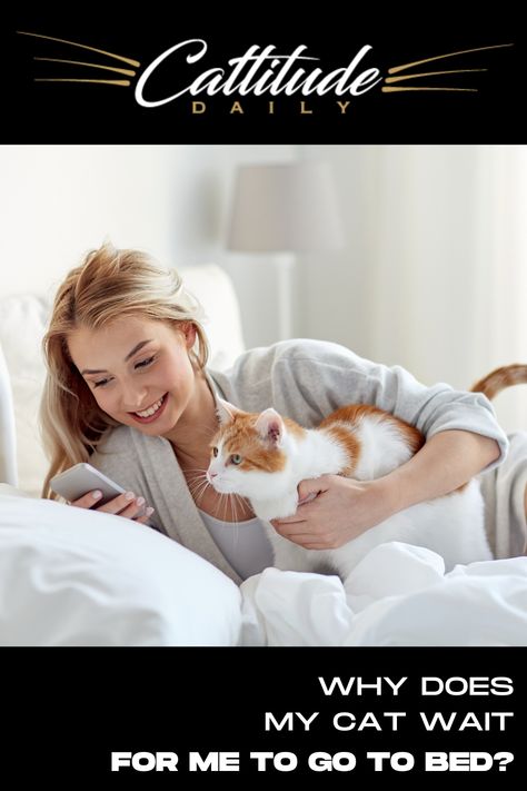 Does your kitty wait for you to go to bed at night? Find out the reason for this interesting and thoughtful behavior here. #catbehavior Cat Behavior Facts, Cat Life Hacks, Best Cat Breeds, Cat Ownership, Getting A Kitten, Cat Tips, Cat Info, Cat Ideas, What Cat