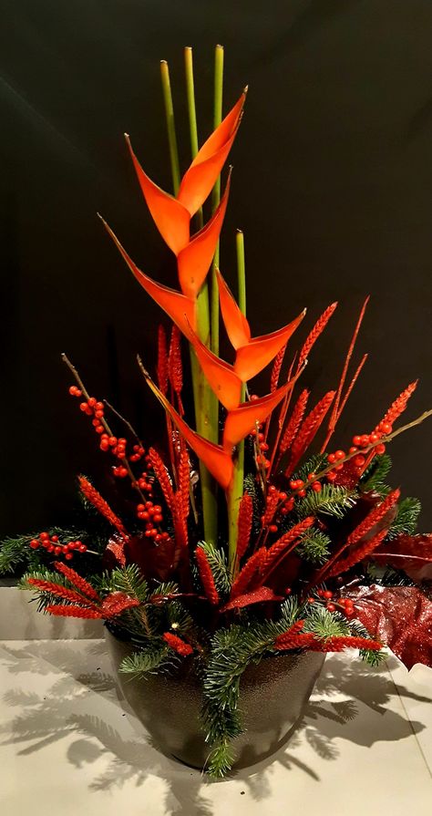 Heliconia Arrangement, Birds Of Paradise, Ikebana, Florist, Flower Arrangements, Paradise, Flowers, Floral, Quick Saves