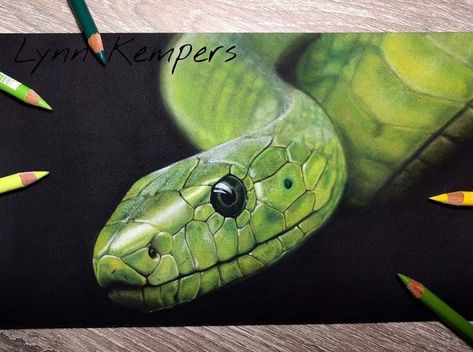 Viper Snake Drawing, Blue Viper Snake, Drawing Snake, Blue Viper, Colored Pencil Artwork Ideas, Colored Pencil Art Projects, Viper Snake, Pencil Drawings Of Flowers, Snake Drawing