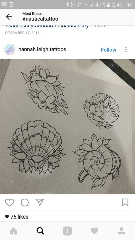 Sea Shell Tattoo Design, Traditional Shell Tattoo, Ocean Life Tattoos, Pearl Tattoo, Shell Tattoo, Taboo Tattoo, Seashell Tattoos, Shell Tattoos, Traditional Tattoo Sleeve