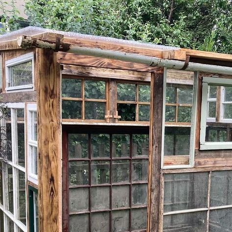 Frances tophill on Instagram: "Lots of people have asked me how I built my greenhouse. And the truth is I didn’t, personally. I could have built something similar but a bit rubbish. My good friend Rupert keys @t_a_s_k_ built it for me with his colleague David Sewell. They did a grand job. The basic structure is four postcreted in posts, then infilled with windows, got from marketplace mainly. These are then screwed to a timber framework. And this is the bit where i definitely couldn’t have don Magical Greenhouse, Serre Diy, Recycled Windows, Window Greenhouse, Recycled Window, Diy Greenhouse Plans, Greenhouse Shed, Build A Greenhouse, Home Greenhouse