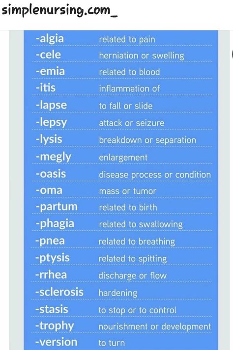 Medical Assisting Cheat Sheets, Medical Terminology Study Cheat Sheets, Medical Terminology Cheat Sheet, Pharmacy School Study, Nursing School Studying Cheat Sheets, University Scholarships, Medical Terminology Study, Medical Scribe, Nursing School Scholarships