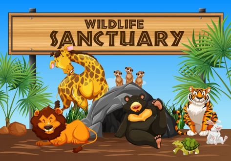 Wildlife sanctuary banner and animals Pr... | Premium Vector #Freepik #vector #background #banner #tree #abstract Animals Illustration, Wildlife Reserve, Wildlife Sanctuary, Animal Illustration, Graphic Design Art, Premium Vector, Graphic Resources, Graphic Art, Stock Vector