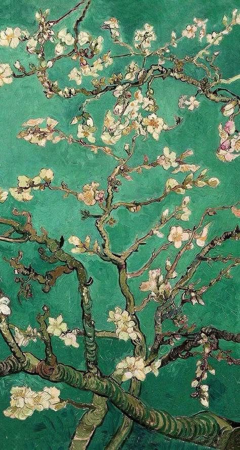 Van Gogh Wallpaper, Almond Tree, Motif Art Deco, Arte Van Gogh, Fine Art Painting Oil, Van Gogh Art, Post Impressionism, Cool Wallpapers Art, Painting Wallpaper