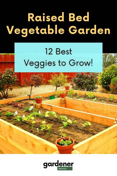 Gardening Herbs, Companion Planting Vegetables, Companion Gardening, Best Vegetables, Raised Bed Garden, Herbs Plants, Building Raised Garden Beds, Vegetable Garden Raised Beds, Benefits Of Gardening