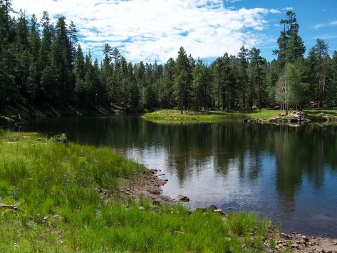 Mogollon Rim, Arizona Lakes, All The Bright Places, Visit Arizona, Rocky Shore, Small Lake, Lake Powell, Sunny Afternoon, Arizona Travel