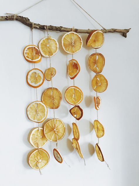 Dried orange slices are the best Christmas decorations 😍 #homedecor Dehydrated Orange Slices Decoration, Dehydrated Orange Slices, Dried Citrus, Tree Branch Wall Decor, Zero Waste Christmas, Tree Branch Wall, Orange Christmas, Hanging Tree, Orange Slice