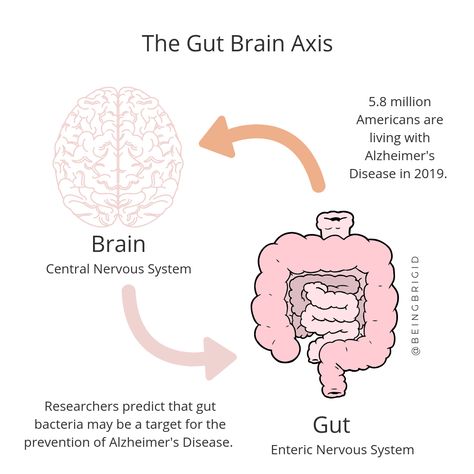 Gut Brain Axis, Fat Burning Workout Plan, Enteric Nervous System, Heal Your Gut, Brain Connections, Gut Brain, Health And Wellness Quotes, Vagus Nerve, Gut Bacteria