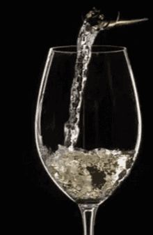 Chill Gif, Pouring Wine, Wine Photography, Gif Photo, Glass Of Champagne, Christmas Gif, Wine Time, Beautiful Gif, Fine Wine