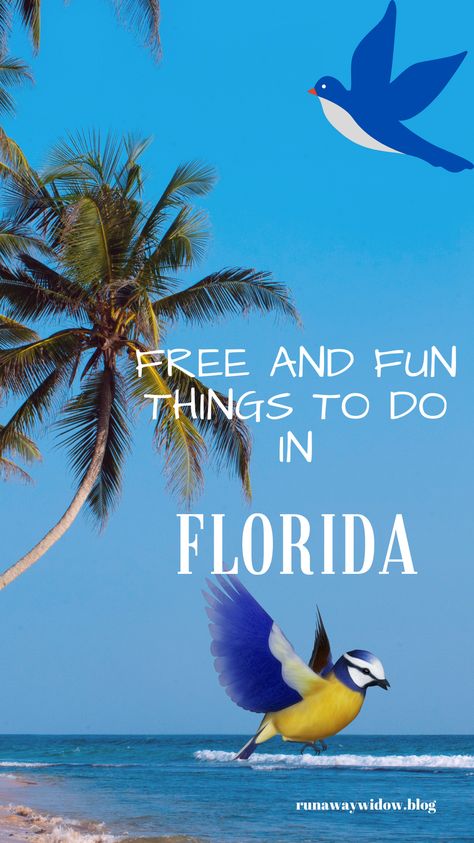 Free surprisingly fun things to do in Florida Things To Do In Florida, Jungle Gardens, Traveling Alone, Anna Maria Island, Outdoor Restaurant, Sarasota Florida, Solo Female Travel, Poses For Photos, Free Fun