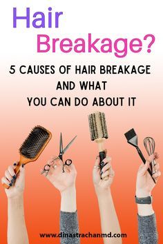 Prevent Breakage Hair, Anti Breakage Hair Products, How To Style Damaged Hair, How To Stop Hair Breakage, Hair Breakage Around Face, What Causes Hair Breakage, Stop Hair Breakage, Dry And Damaged Hair, Damage Hair Care