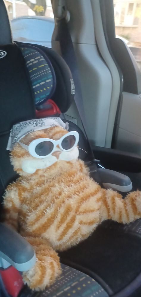 #Garfield Garfield Sunglasses, Kurt Cobain, Sunglasses, Quick Saves