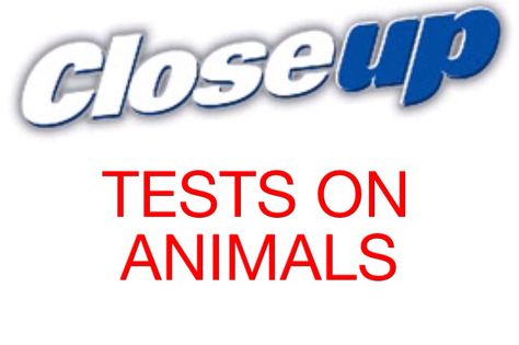 >< >< >< BLACKLISTED!  Close-Up Toothpaste TESTS ON ANIMALS. >< >< >< Proof: click image. #doNOTbuy Close Up Toothpaste, Stop Animal Testing, Stop Animal Cruelty, Care Products, Allianz Logo, Toothpaste, Close Up, Personal Care, How To Apply