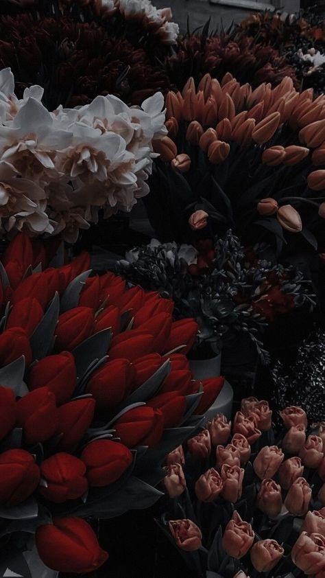 Gothic Spring Wallpaper, Black Dahlia Flower Wallpaper, Spring Dark Aesthetic, Gothic Spring Aesthetic, Black Dahlia Aesthetic, Black Dahlia Wallpaper, Dahlia Flower Wallpaper, Dark Spring Aesthetic, Dark Flower Aesthetic