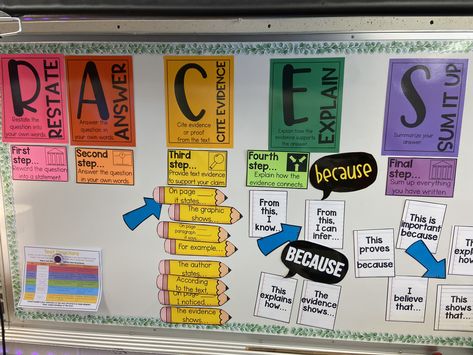 Races Anchor Chart, Fourth Grade Ela, Anchor Chart 3rd Grade, Bulletin Boards Elementary, Writing Bulletin Boards, Middle School Classroom Decor, Writing Mini Lessons, Third Grade Writing, First Year Teaching