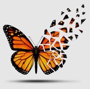 Kissing Self-Doubt Good-Bye: How Whitney Dafoe’s ME/CFS Story Empowered One Person Wings Sketch, Cholesterol Symptoms, Cholesterol Lowering, Cholesterol Medications, Cholesterol Remedies, Cholesterol Lowering Foods, Butterfly Quotes, Broken Wings, Wing Tattoo