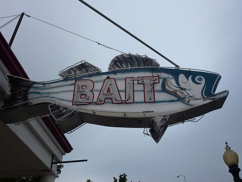 Let's run down to the Ole' Bait Shop Bait Shop, Fishing Shack, Tackle Shop, Fish Tales, Fishing Signs, Vintage Neon Signs, Bait And Tackle, Camp Ideas, Fishing Decor