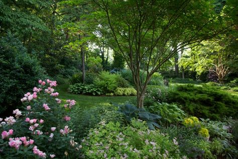 Small Woodland Garden, Woodland Garden Design, Flower Beds Ideas, Maryland Garden, Fine Gardening Magazine, Beds Ideas, Rock Garden Plants, Fine Gardening, Landscape Plans