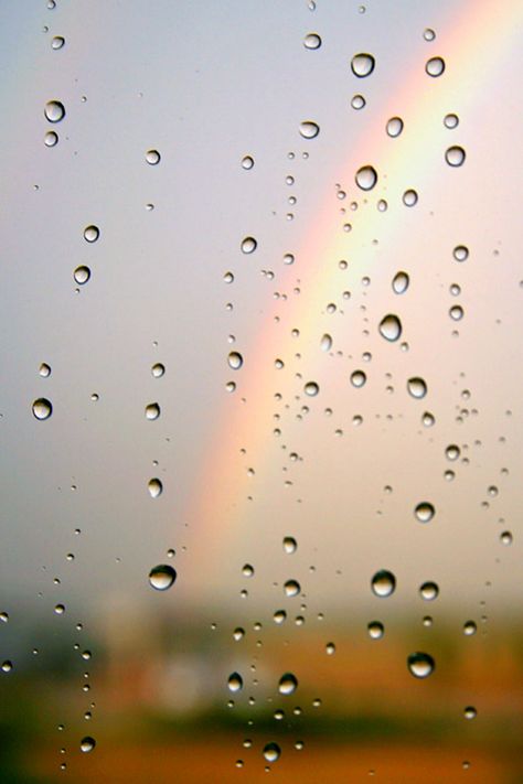 Raindrop Aesthetic, Videos Of Rain, Rain Aesthetics, Lavender Fields Photography, Rainy Day Photography, Rainy Wallpaper, Rainy Window, Rain Window, Rain Photo