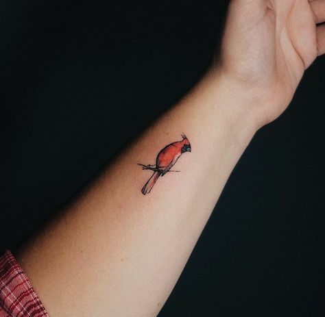 Cardinal Tattoo Dainty, Small Simple Cardinal Tattoo, Small Cardinal Tattoo Wrist, Cardinal Wrist Tattoo, Cardinal Tiny Tattoo, Simple Line Cardinal Tattoo, Simple Cardinal Tattoo, Tiny Cardinal Tattoo, Small Cardinal Tattoos For Women