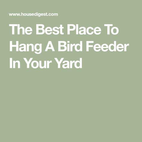 The Best Place To Hang A Bird Feeder In Your Yard Bird Feeder Station Ideas, Bird Feeder Poles, Suet Feeder, Dont Take It Personally, Bird Brain, Garden Poles, Stay Alive, Bird Feeder, Be Safe