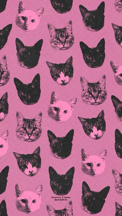 Silly Animal Wallpaper, Pink Punk Wallpapers, Black Cat Cute Wallpaper, Maxamilist Wallpaper, Whimsical Iphone Wallpaper, Animal Lockscreen, Funky Wallpaper Iphone, Pink Cat Wallpaper, Wacky Wallpaper