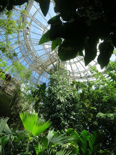 Butterfly House Photoshoot, Houston Museum Of Natural Science, Butterfly House Aesthetic, Butterfly Sanctuary Aesthetic, Science Museum Aesthetic, Natural Science Aesthetic, Butterfly Greenhouse, Greenhouse Vibes, Victorian Glasshouse