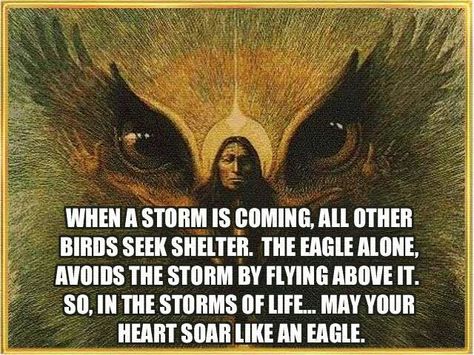 Eagles fly above the storm Eagles Quotes, Native Quotes, American Indian Quotes, Native American Eagle, American Proverbs, Native American Prayers, Native American Spirituality, American Quotes, Indian Quotes