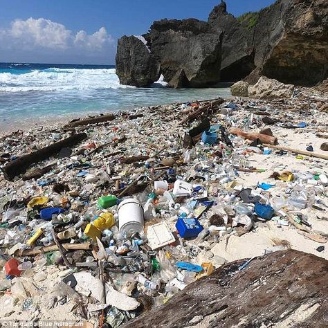 Plastic On The Beach, Horrifying Images, Disturbing Photos, Marine Debris, Plastic Beach, Save Our Earth, Christmas Island, Save Our Oceans, Tourism Industry