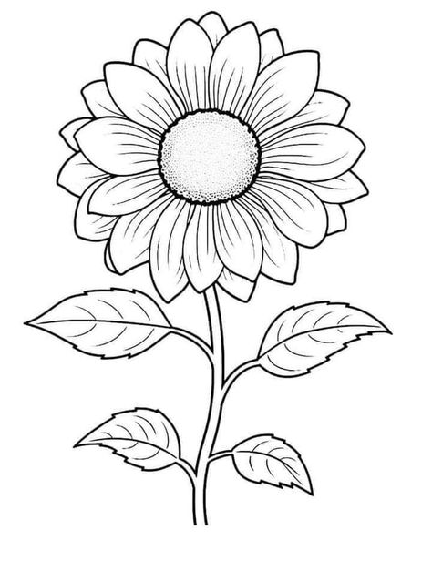 Sunflower Outline Drawing Simple, Sunflower Sketch Simple, Drawing Outlines Sketch, Flower Drawing Sunflower, Sunflower Design Drawing, Flowers Outline Drawing, Simple Sunflower Drawing, Sunflower Ceramics, Pics To Color