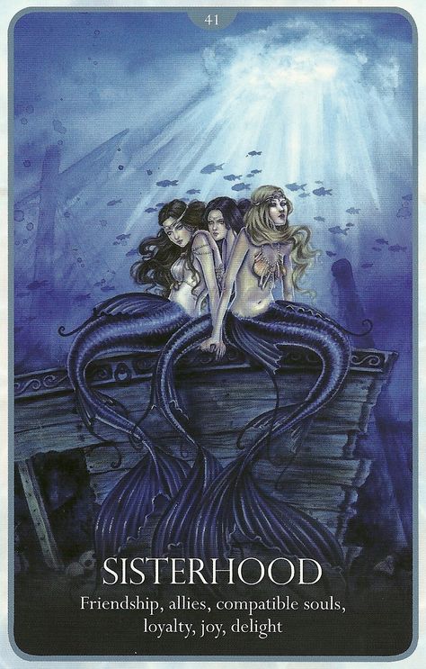 41. Sisterhood. Oracle of the Mermaid. Magical messanges le healing. Love and Romance. Lucy Cavendish. Siren Tarot Card, Mermaid Under The Sea, Mythical Beast, Love And Romance, Mermaid Art, Oracle Decks, Sirens, Tarot Card, Album Archive