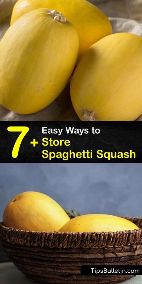 Utilize these tips to store raw or cooked spaghetti squash in a dry place at room temperature in your home. These tips help determine if the rind is fresh, when to use a freezer bag or airtight container, and a recipe that only requires olive oil and a baking sheet. #storing #spaghetti #squash Storing Spaghetti Squash, Preserve Spaghetti Squash, How To Store Spaghetti Squash For Winter, How To Preserve Spaghetti Squash, How To Store Spaghetti Squash, Preserving Spaghetti Squash, Preserving Squash, Storing Squash, Store Spaghetti Squash