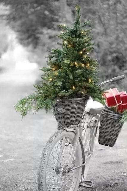 British Kitchen, Bicycle Art, Christmas Scenes, Friend Christmas, Sweet Heart, Christmas Mood, Christmas Is Coming, A Novel, Cozy Christmas